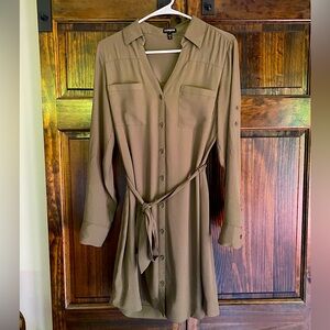 Long sleeve, olive green Express dress